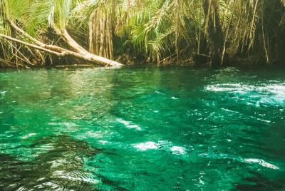 Cascadas privadas de día completo Materuni y fuente termal de Kik