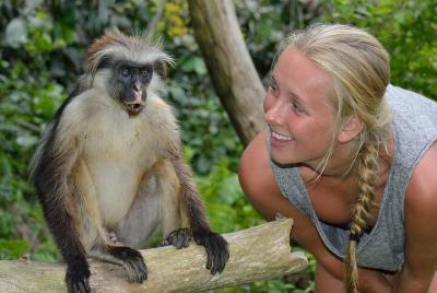 Tour privado a la reserva forestal de Jozani Tour guiado de medio Tour privado a la reserva forestal de Jozani Tour guiado de medio