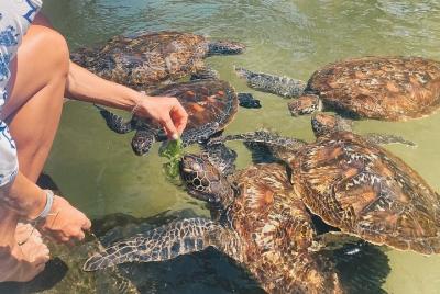 Tour del pueblo cultural de Nungwi
