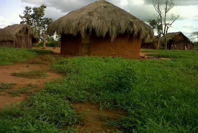 Recorrido a pie por la ciudad de Dar es Salaam: ¡Explore la vida  Recorrido a pie por la ciudad de Dar es Salaam: ¡Explore la vida