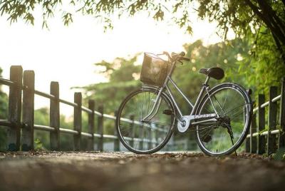 Excursión de un día a Bangachao