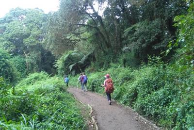 Caminata de día completo en la reserva forestal de Rau, cerca de 