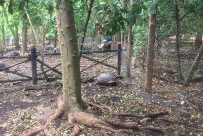 Prison Island Tour compartido