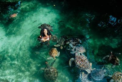 Nadar con tortugas Zanzibar