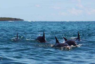 Taxi y lanzaderas con conductores autoguiados y excursiones