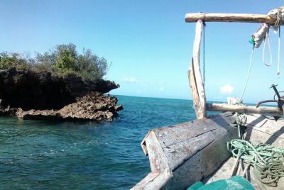 Crucero privado de día completo en Sandbank y Kwale Island