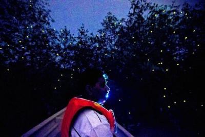 Kuala Selangor Firefly Boat Tour con cena y traslado desde Kuala  Kuala Selangor Firefly Boat Tour con cena y traslado desde Kuala