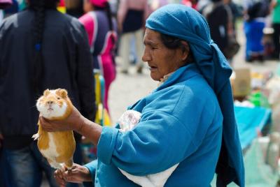 Día Indígena del Mercado Indígena de Otavalo