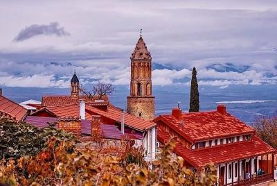 Tour privado de vino de día completo en Kakheti desde Tbilisi