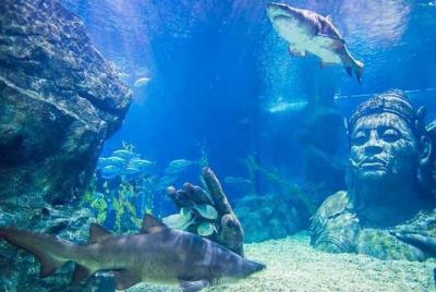 Sea Life Bangkok Ocean World (en todo el mundo excepto tailandés) Sea Life Bangkok Ocean World (en todo el mundo excepto tailandés)