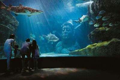 Acuario Sea Life de Bangkok y Madame Tussauds + Película 4D