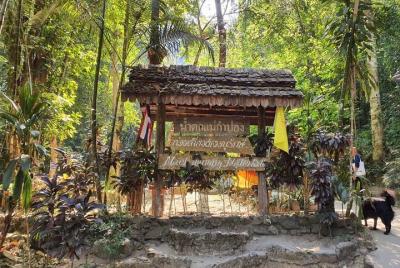 Perdido en Chiang Mai - Pueblo secreto, aguas termales y cascadas Perdido en Chiang Mai - Pueblo secreto, aguas termales y cascadas