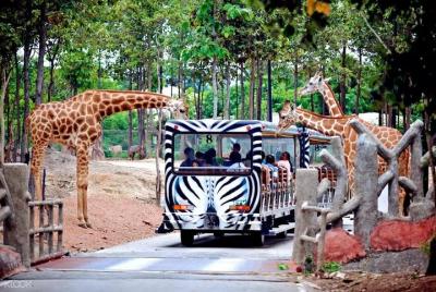 Chiang Mai Night Safari Park con traslado de ida y vuelta