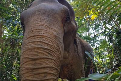 Tour de medio día por la mañana