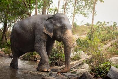 Tour de medio día por la tarde