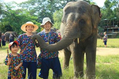 Visita de un día en Chiang Mai al parque natural de elefantes (si