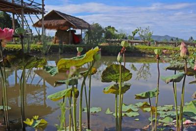 Curso de cocina de medio día por la mañana