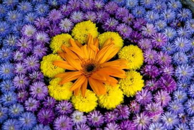 2.5 horas Siam Lanna relajante - Transporte gratuito