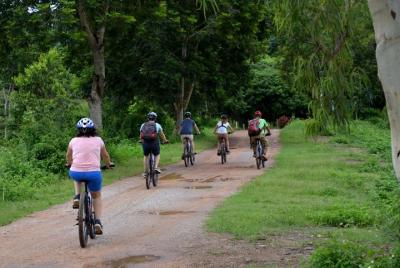 Excursión de medio día en bicicleta al templo blanco