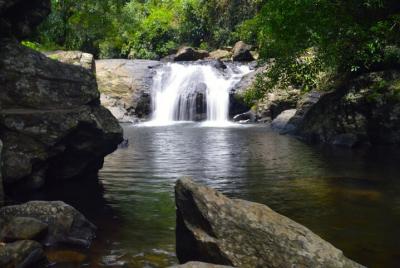 Excursión a la jungla y la cascada Pala U para grupos pequeños de Excursión a la jungla y la cascada Pala U para grupos pequeños de