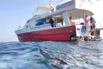 Crucero de 4 horas de relajación en barco