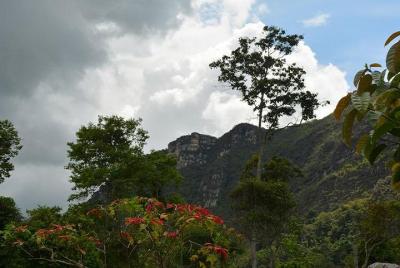 Paque Nacional Natural Quininí Paque Nacional Natural Quininí