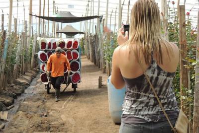 Tour compartido del mercado indio de Otavalo y la granja de rosas