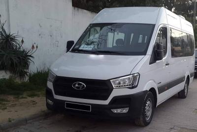 Minibús privado Enfidha traslado de llegada y salida del aeropuer