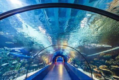 Acuario de Antalya con 3 tipos de opciones de entradas + traslado