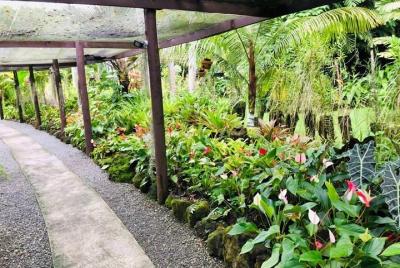 Excursión privada a la costa de Denarau: templo, compras, mercado