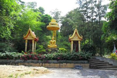 Tour privado en Koh Samui