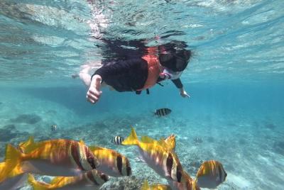 Más allá de Angthong 42 Islands Premium Service Trip en lancha rá