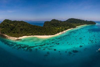 Tour de un día en Koh Rok By Tin Adventure Sea Tour desde Koh Lan