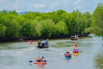 Excursión de medio día en kayak por el bosque de manglares desde 