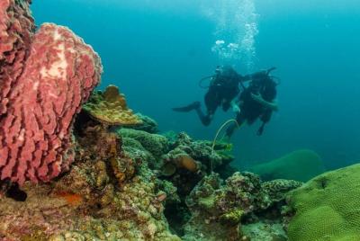Descubre el buceo con escafandra