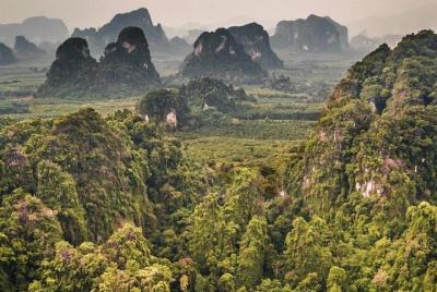 Excursión Full Day Jungle con Emerald Pool, Hot Spring y Tiger Te