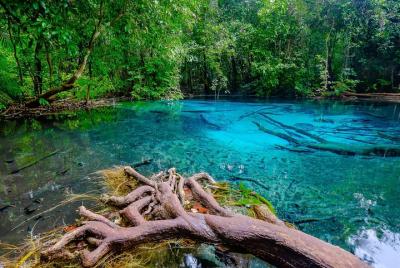 Un descubrimiento natural de la pintoresca Krabi