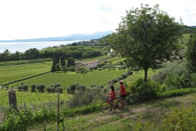 Excursión en bicicleta por Verona y lago de Garda