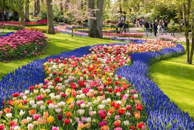 Escapada de un día a los jardines de tulipanes de Keukenhof con u