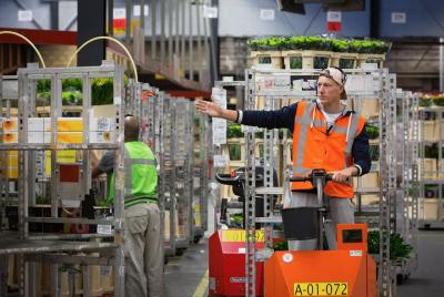 Subasta de flores reales: pequeño recorrido público desde Ámsterd