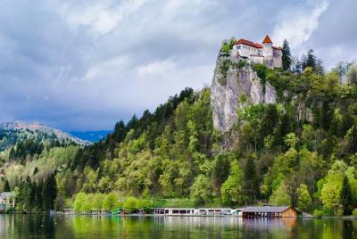 Excursión de medio día por el lago Bled y el castillo Visita de u