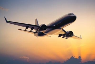 Traslado privado del aeropuerto U-Tapao Rayong-Pattaya a la ciuda