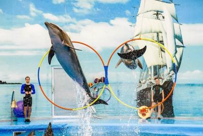 Evite las colas - Phuket Dolphin Show Tours