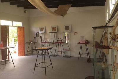 Visita privada al museo 'Ilaheva con medicina tongana y producto 