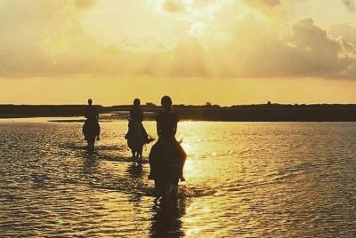Paseo por el descubrimiento (caballo, camello, carruaje)