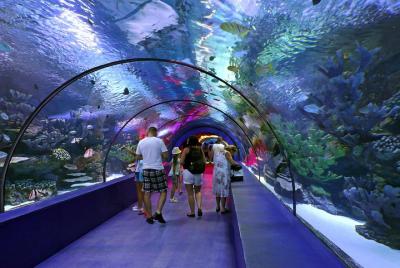 Entrada al acuario de Antalya con el tour opcional por la ciudad de Antalya y la cascada Duden Entrada al acuario de Antalya con el tour opcional por la ciudad de Antalya y la cascada Duden