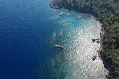 Traslado privado al aeropuerto: aeropuerto internacional de Milas