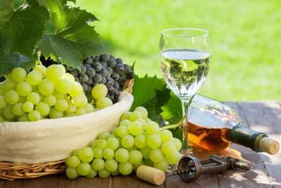  Kakheti Wine Tour · Tour privado de día completo · Trending Geor