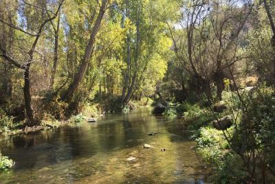 Tour del sur de Capadocia con el cañón de Ihlara