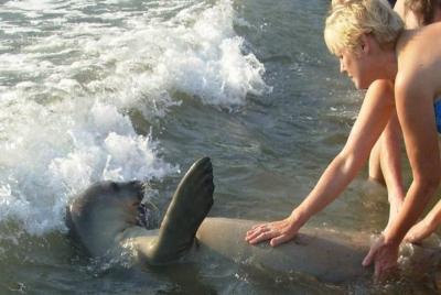 Vea el paisaje costero en este recorrido por el sendero Carian